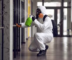 Environmental Consulting for Mold Prevention